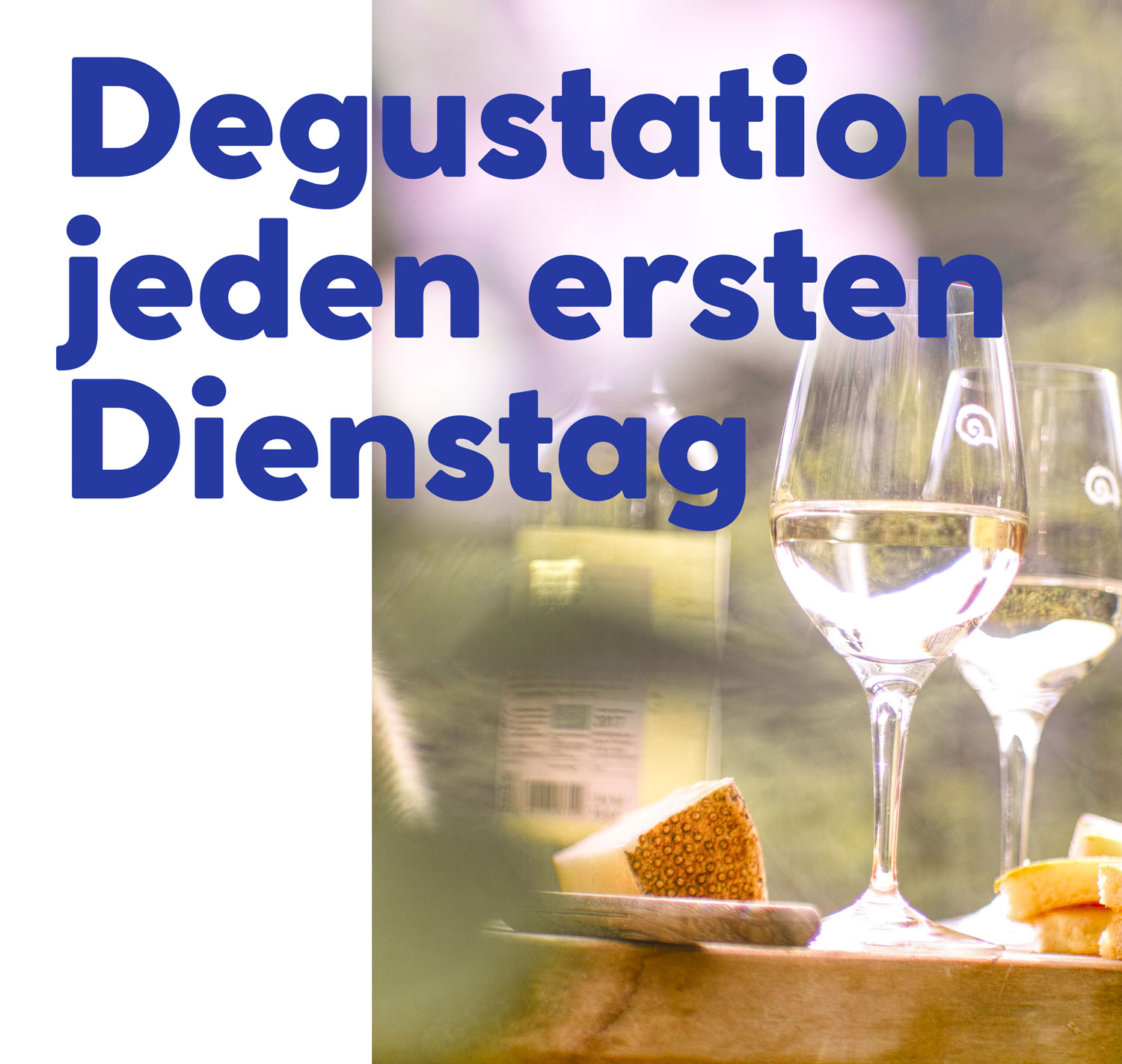 Geführte Degustation in der Weinbar Bern